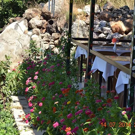 Séjour chez l'habitant Soeguet Ada Pansiyon Sogut (Aegean)