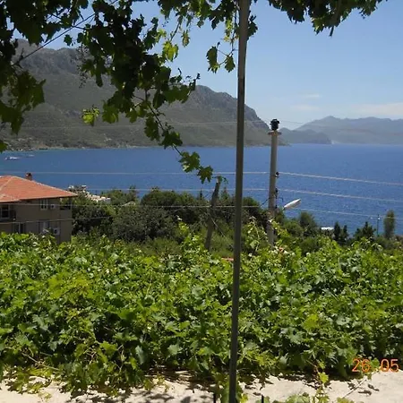 Soeguet Ada Pansiyon Séjour chez l'habitant Sogut (Aegean)
